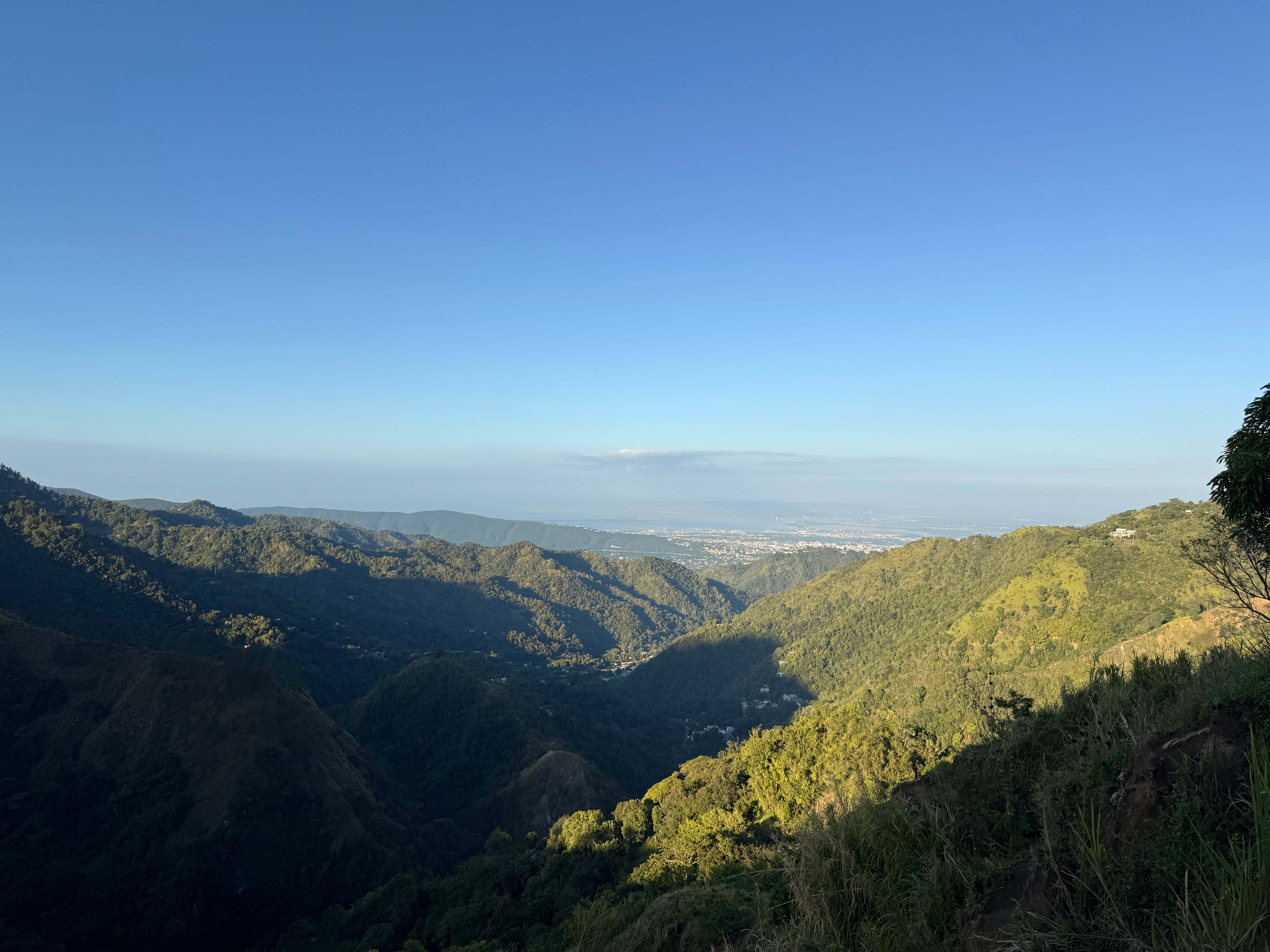 top of the hill looking down liguanea